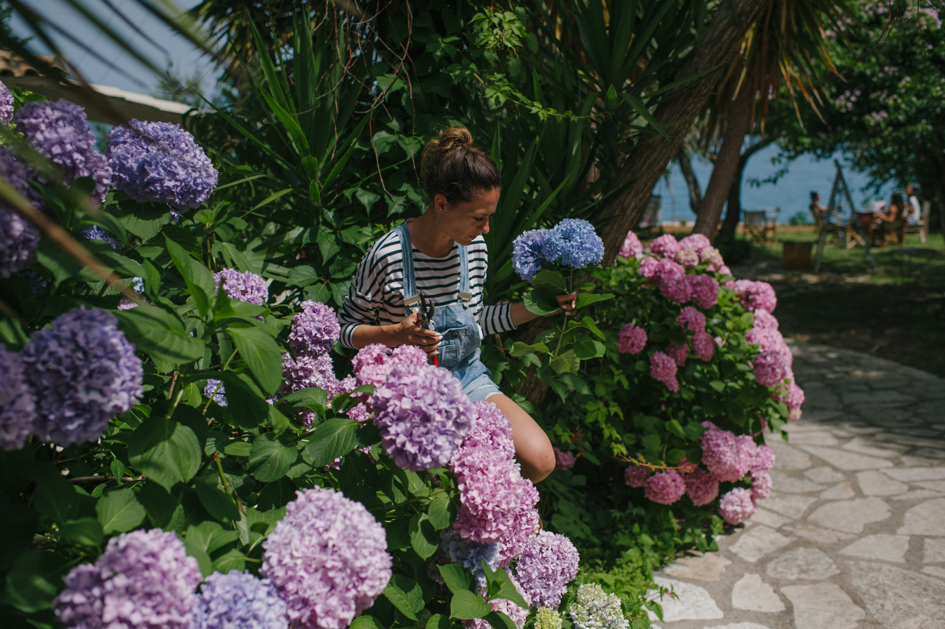 Lefkada Island Florists